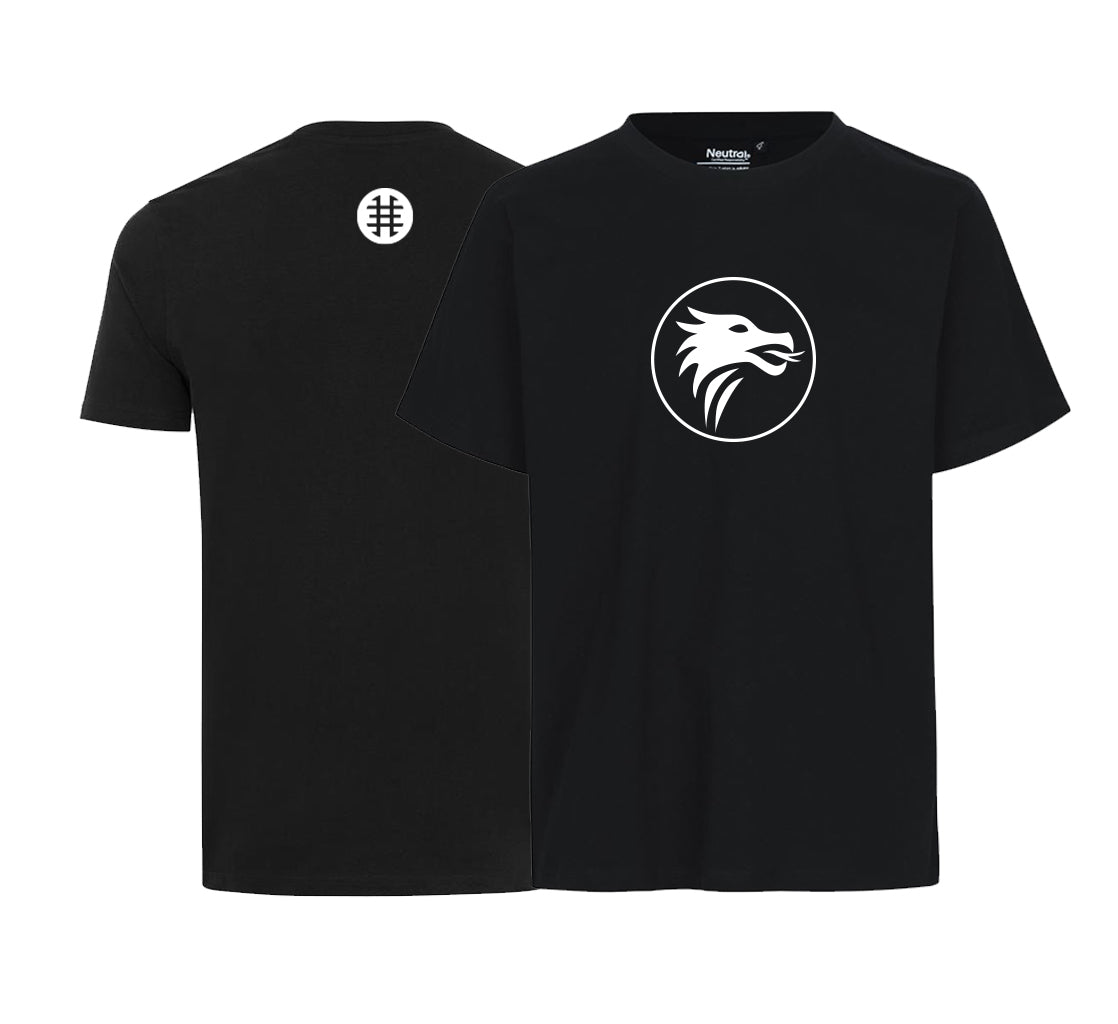 T-Shirt Kids Drachen